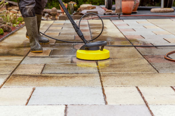 Animal Enclosure Cleaning in Helena, MT