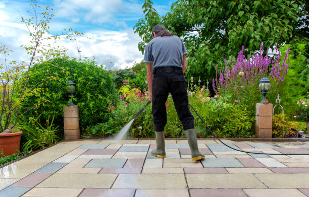 Best Sidewalk and Walkway Cleaning  in Helena, MT